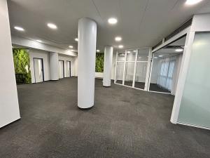 Pronájem obchodního prostoru, České Budějovice, Žižkova tř., 143 m2