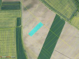 Prodej louky, Přeštice, 9028 m2