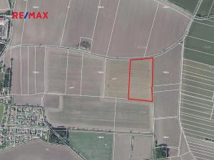 Prodej pole, Bobnice, 34185 m2