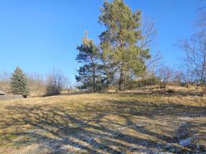 Prodej louky, Lipová - Seč, 524 m2