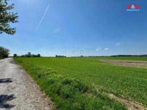 Prodej pole, Onomyšl, 73439 m2