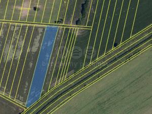 Prodej pole, Měnín, 5985 m2