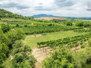 Prodej sadu/vinice, Pouzdřany, 1120 m2