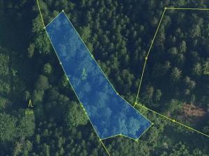 Prodej lesa, Plavy, 1810 m2