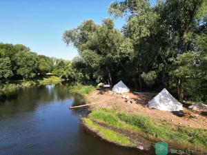 Prodej louky, Počedělice, 1503 m2