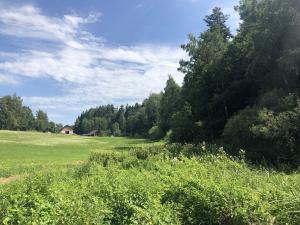 Prodej pole, Kaplice - Žďár, 2302 m2