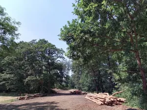 Prodej podílu lesa, Luhačovice, 852931 m2