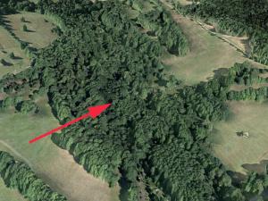 Prodej lesa, Trutnov, 13585 m2