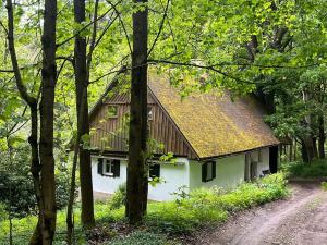 Prodej chalupy, Rychnov u Jablonce nad Nisou, 160 m2