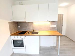 Pronájem bytu 1+kk, Kraslice, B. Smetany, 22 m2