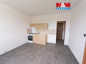 Pronájem bytu 1+1, Ústí nad Labem, Picassova, 35 m2