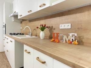 Pronájem bytu 2+1, Litvínov, K Loučkám, 76 m2