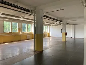 Pronájem výrobních prostor, Liberec, Švermova, 180 m2