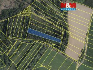 Prodej lesa, Mysletice, 7177 m2