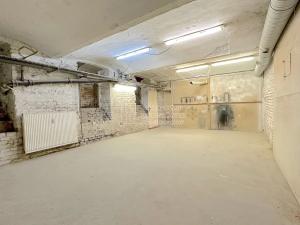 Pronájem výrobních prostor, Praha - Karlín, Pernerova, 89 m2