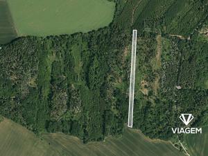 Prodej podílu lesa, Lukovany, 7040 m2