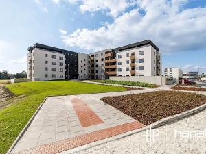 Pronájem bytu 2+kk, Olomouc, Loudova, 57 m2