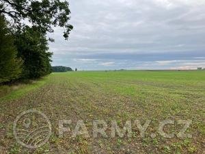 Prodej podílu pole, Dolní Roveň, 62359 m2