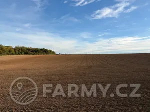 Prodej pole, Roztoky, 40596 m2