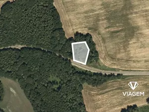 Prodej podílu lesa, Mladějov na Moravě, 1594 m2