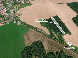 Prodej podílu lesa, Koloveč, 427 m2