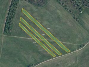 Prodej louky, Ledčice, 11616 m2