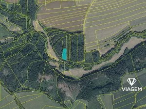 Prodej podílu lesa, Chýstovice, 485 m2