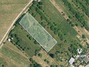 Prodej podílu zahrady, Ježov, 192 m2