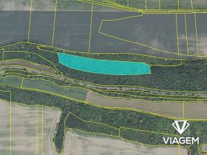 Prodej podílu lesa, Dřetovice, 3036 m2