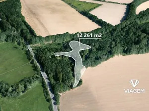 Prodej lesa, Kunín, 12261 m2