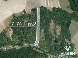 Prodej lesa, Hradec nad Moravicí, 7763 m2