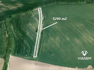 Prodej podílu pole, Klobouky u Brna, 1763 m2