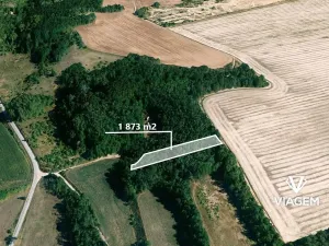 Prodej lesa, Medlov, 1873 m2