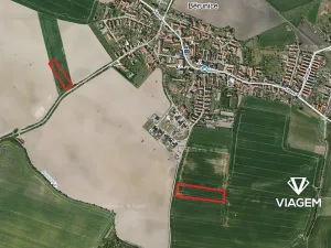 Prodej podílu pole, Běrunice, 1961 m2