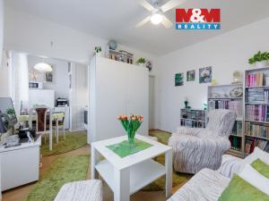 Prodej bytu 1+kk, Praha - Strašnice, Královická, 25 m2