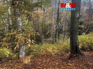 Prodej lesa, Řepníky, 562 m2