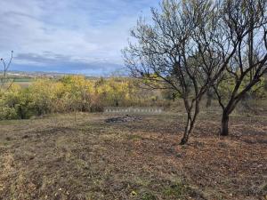 Prodej zahrady, Židlochovice, 1185 m2