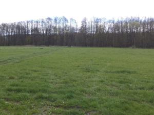 Prodej pole, Tachov, 23048 m2