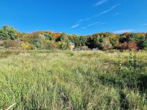 Prodej pozemku pro bydlení, Černé Voděrady, 1775 m2