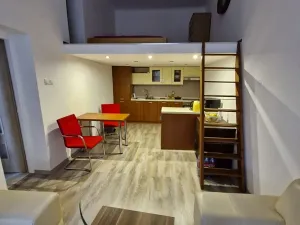 Pronájem bytu 1+1, Brno, Cejl, 28 m2