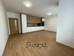 Pronájem bytu 1+kk, Ostrava, Hasičská, 35 m2