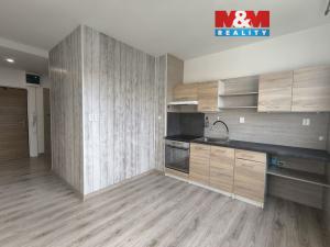 Pronájem bytu 1+1, Ústí nad Labem - Severní Terasa, Oblá, 41 m2