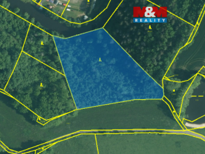 Prodej lesa, Římov - Branišovice, 9271 m2