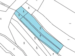 Prodej lesa, Vyskytná, 4964 m2