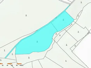 Prodej lesa, Česká Bělá, 18552 m2