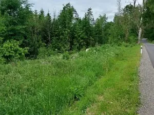 Prodej lesa, Častrov, 144 m2