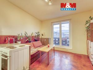 Pronájem bytu 1+kk, Plzeň - Východní Předměstí, Šafaříkovy sady, 23 m2