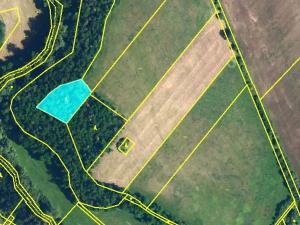 Prodej lesa, Rouchovany, 1620 m2