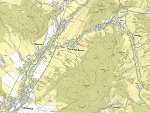 Prodej pole, Petrov nad Desnou, 10175 m2