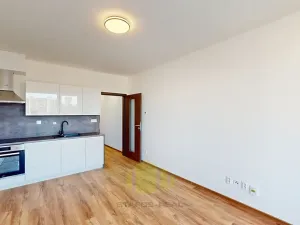 Pronájem bytu 1+kk, Olomouc, Janského, 28 m2